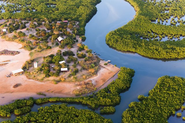 Parc-animaux-visite-tourisme-sauvage-oiseaux-LEUKSENEGAL-Dakar-Senegal-Afrique-Palmarin5